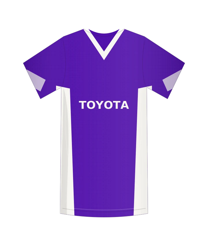 Fiorentina 2005/06 · Casa — ricostruzione originale