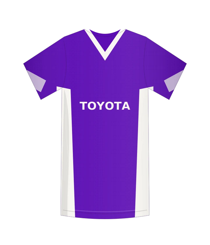 Fiorentina 2008/09 · Casa — ricostruzione originale