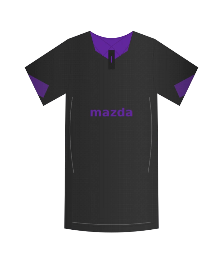 Fiorentina 2013/14 · Portiere · 1ª portiere