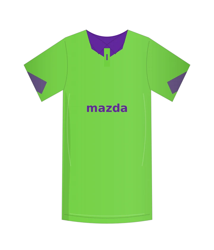 Fiorentina 2013/14 · Portiere · 2ª portiere — ricostruzione originale