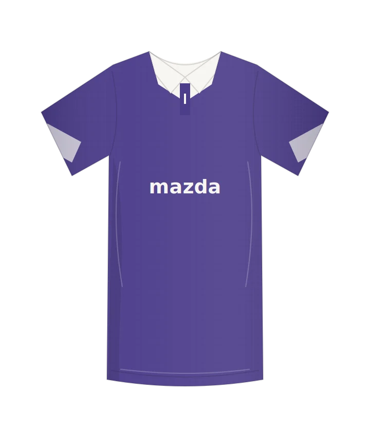 Fiorentina 2013/14 · Casa — ricostruzione originale