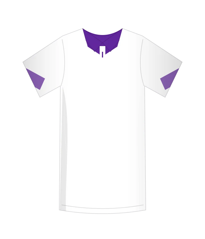 Fiorentina 2013/14 · Speciale · Trasferta UEL — ricostruzione originale