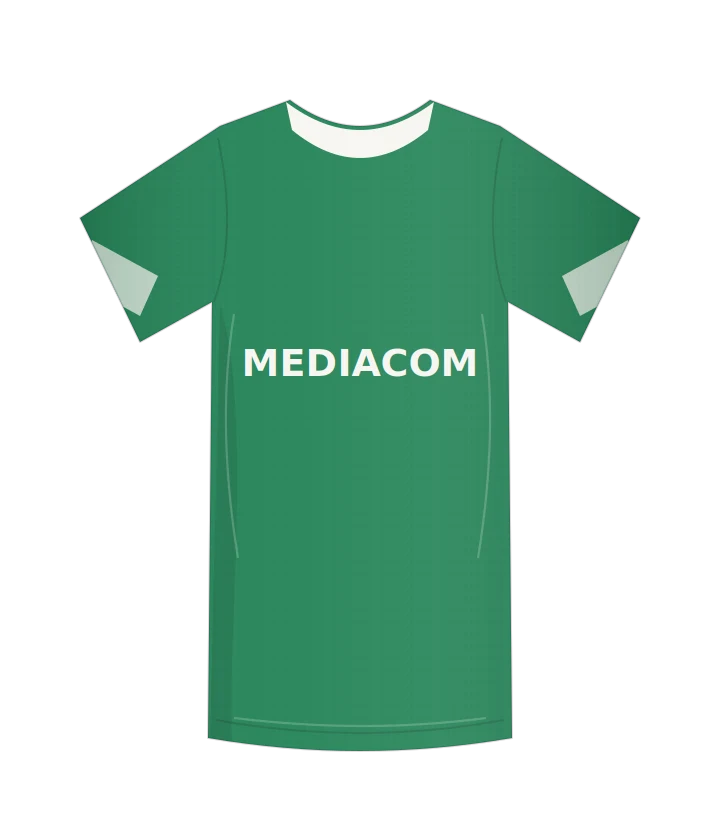 Fiorentina 2019/20 · Alternativa · Trasferta verde
